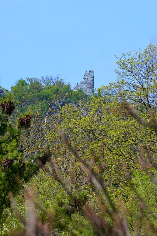 Hotel Weinhaus Hoff Bad Honnef Esterno foto